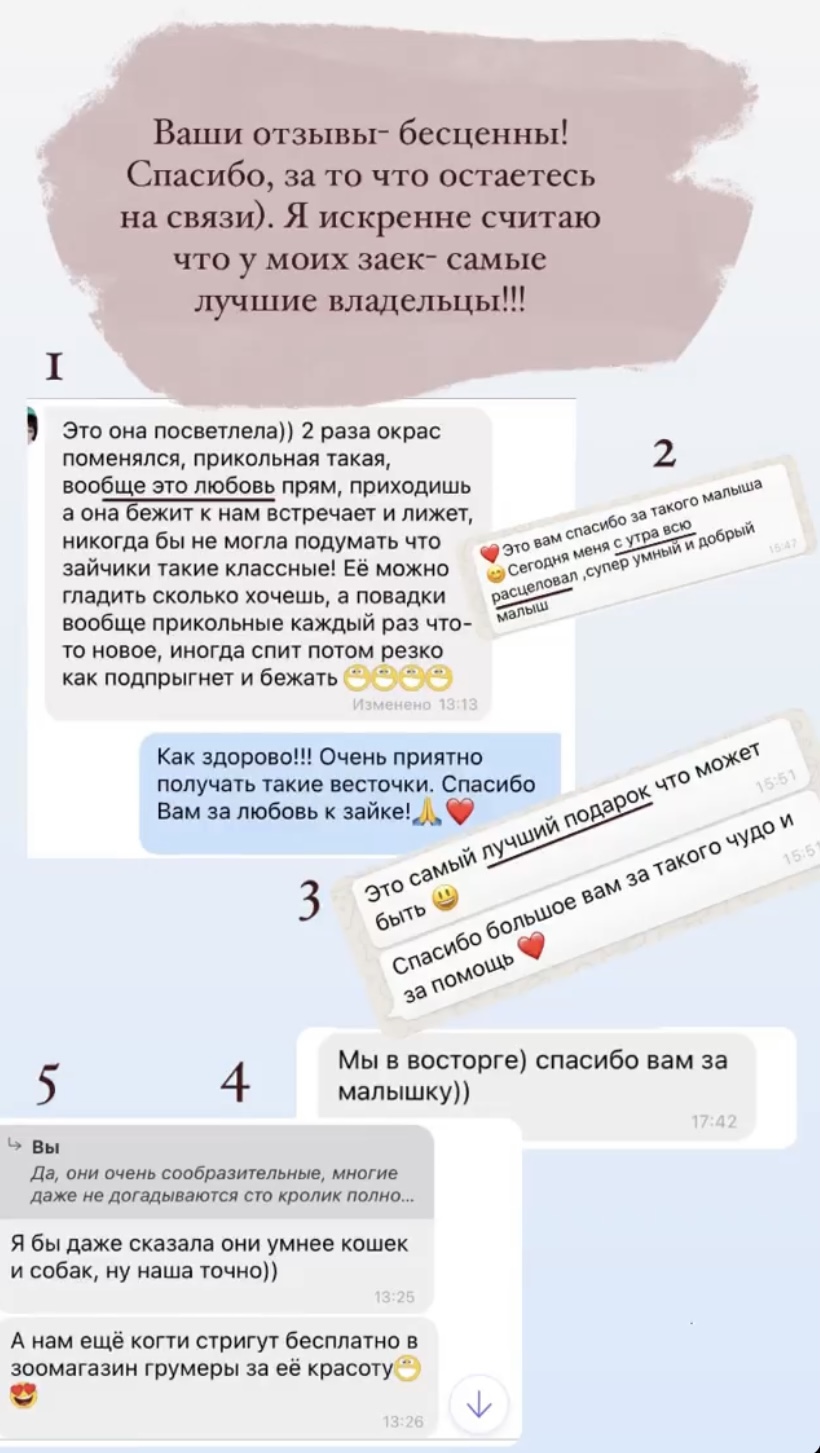 rewievs