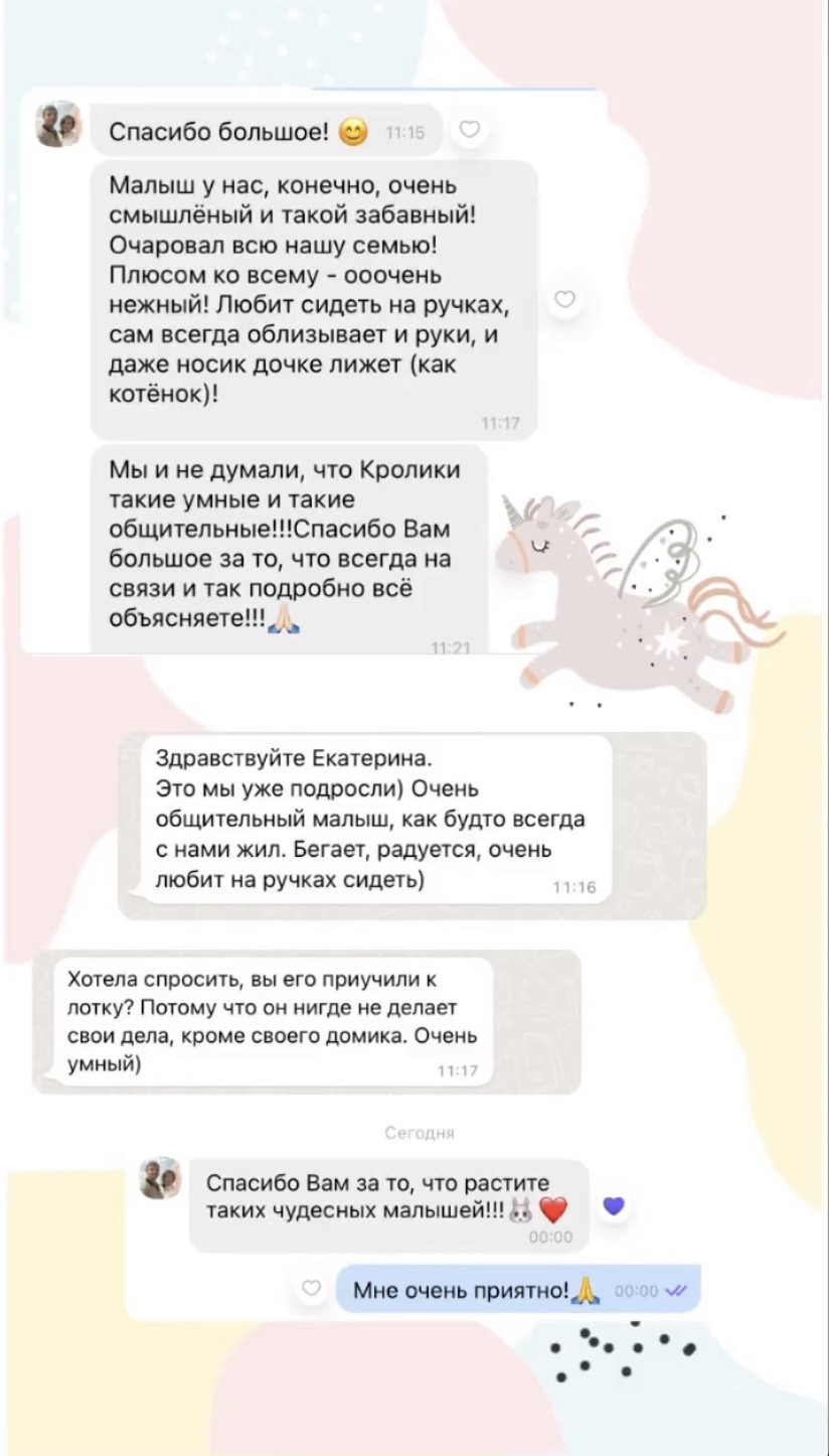 1670993072592553