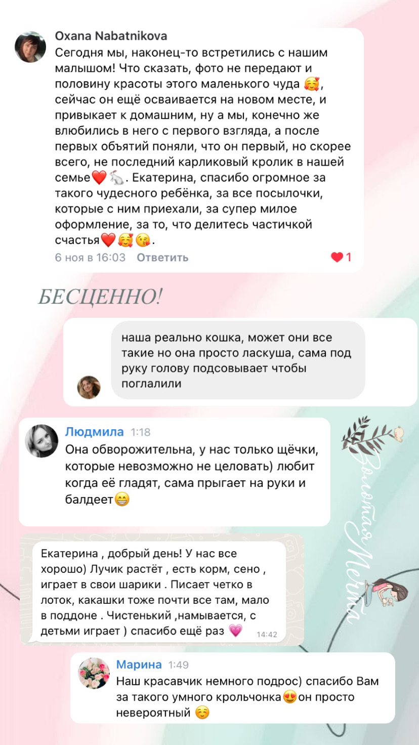 изображение_viber_2023-11-19_16-04-06-514